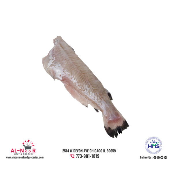 Cat Fish (Whole) | Per Lb